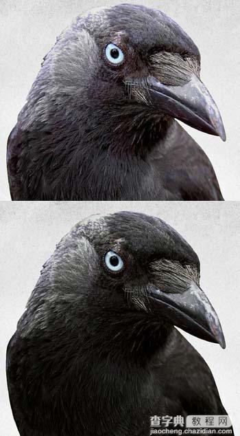 Photoshop 打造一幅黑白的乌鸦插画7