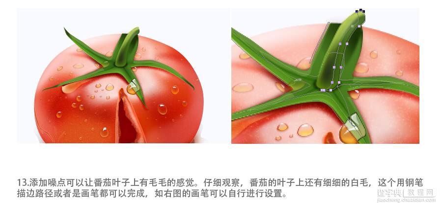 photoshop设计制作出一个裂开的红色番茄效果教程12