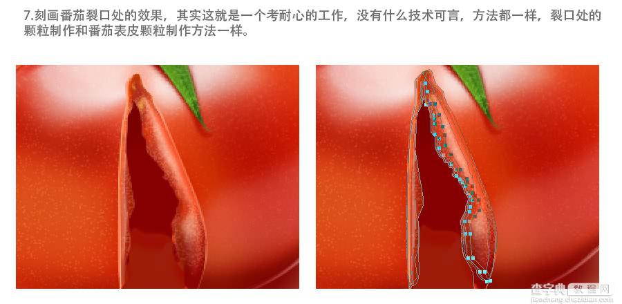photoshop设计制作出一个裂开的红色番茄效果教程7
