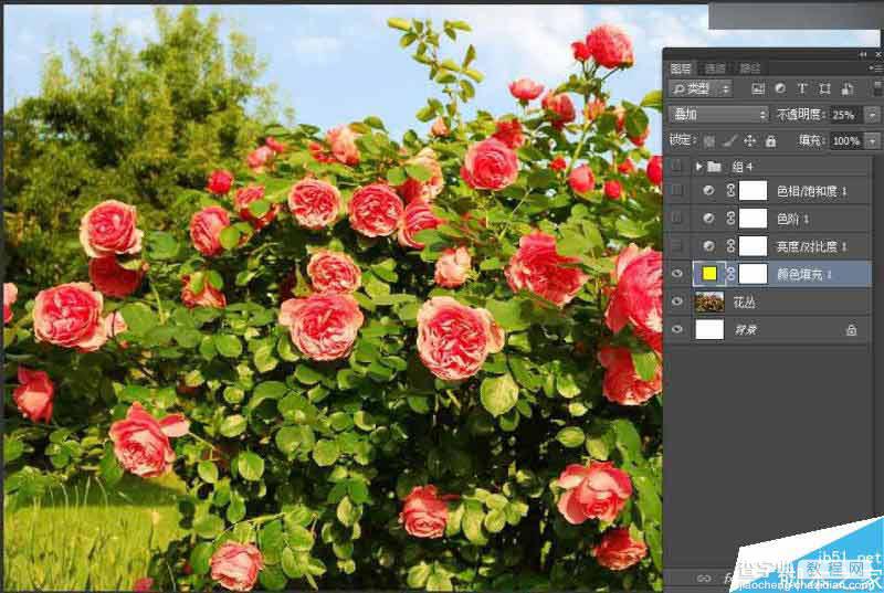 Photoshop设计以花朵为主元素的报纸广告2