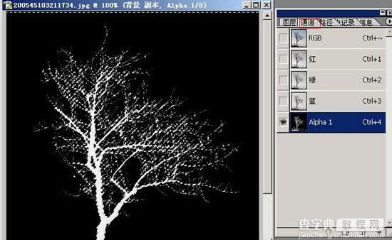 photoshop树木枝叶四种抠图的方法介绍14