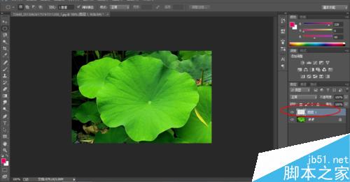 Photoshop制作荷叶上的水滴效果5