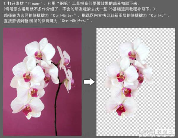 Photoshop合成牛奶泼洒出纯白色花朵的效果3