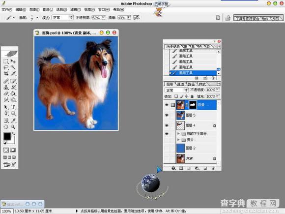 Photoshop抠图教程：抠出毛茸茸的狗狗13