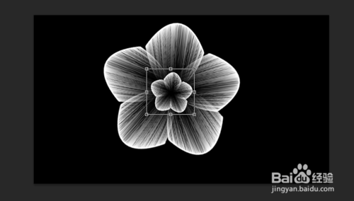 PS滤镜风制作漂亮的花朵效果16