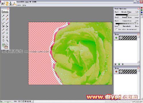 Photoshop抠图教程：插件Mask pro 4.11抠图使用介绍（图文）5