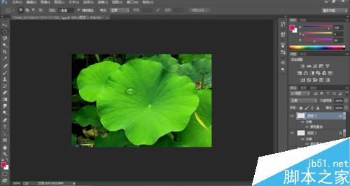 Photoshop制作荷叶上的水滴效果16