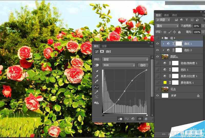 Photoshop设计以花朵为主元素的报纸广告7