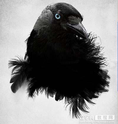 Photoshop 打造一幅黑白的乌鸦插画21