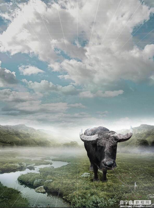 Photoshop制作雨中野外孤独行走的一头牛海报20