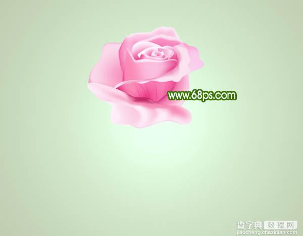 Photoshop打造鲜嫩的粉色玫瑰花23