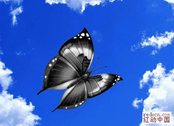 photoshop利用滤镜制作漂亮的云彩蝴蝶4