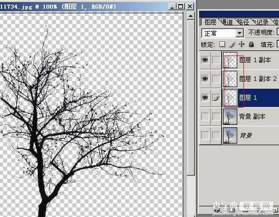 photoshop树木枝叶四种抠图的方法介绍15