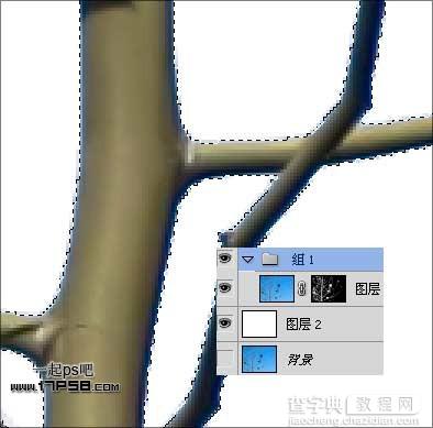 Photoshop利用通道和计算命令抠出复杂物体的实例教程13