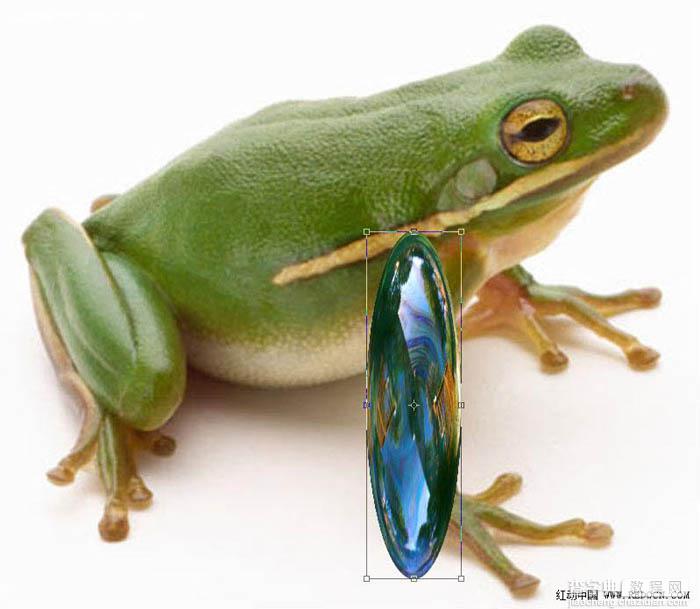 PS合成一只剔透的玻璃青蛙24