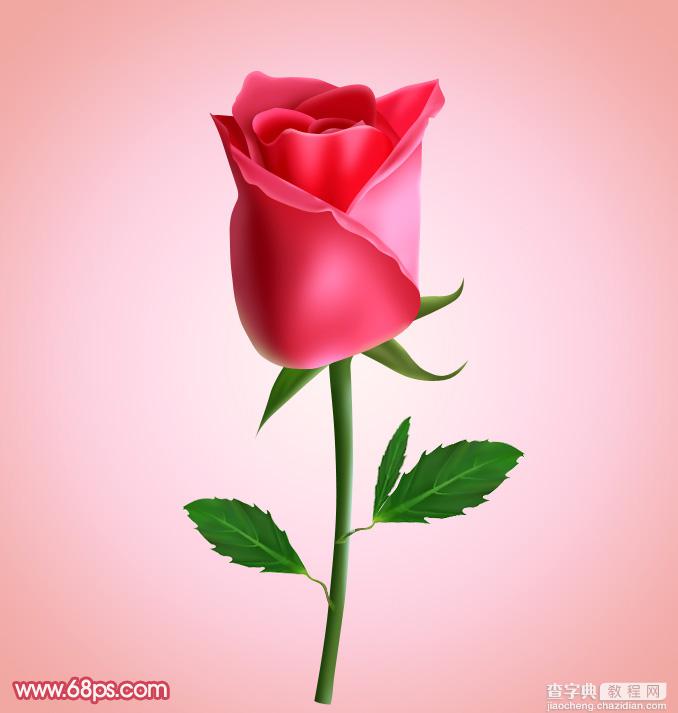 Photoshop设计制作出一朵逼真的含苞欲放的鲜嫩红色玫瑰1