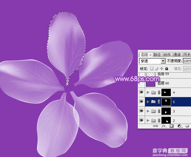 Photoshop设计制作逼真漂亮的白色透明兰花花朵24