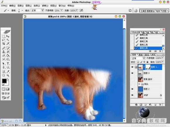 Photoshop抠图教程：抠出毛茸茸的狗狗11