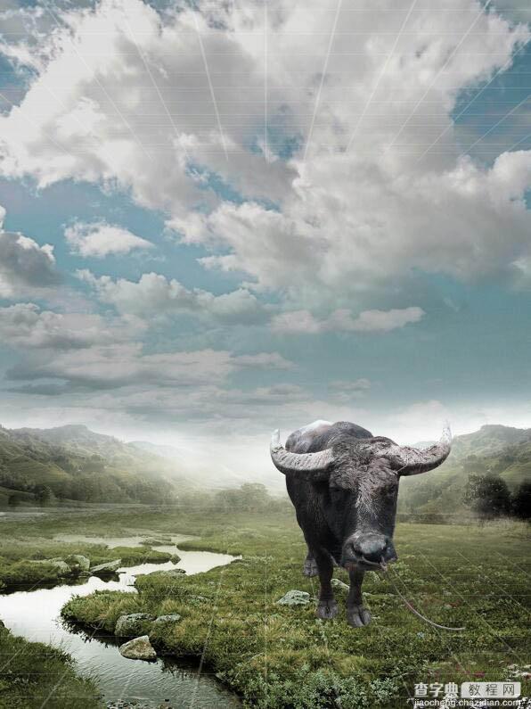 Photoshop制作雨中野外孤独行走的一头牛海报16