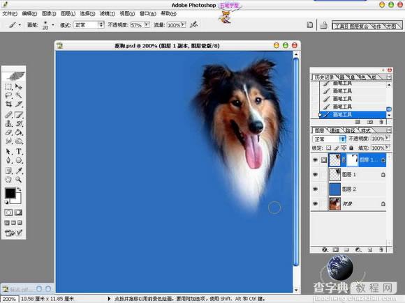Photoshop抠图教程：抠出毛茸茸的狗狗9