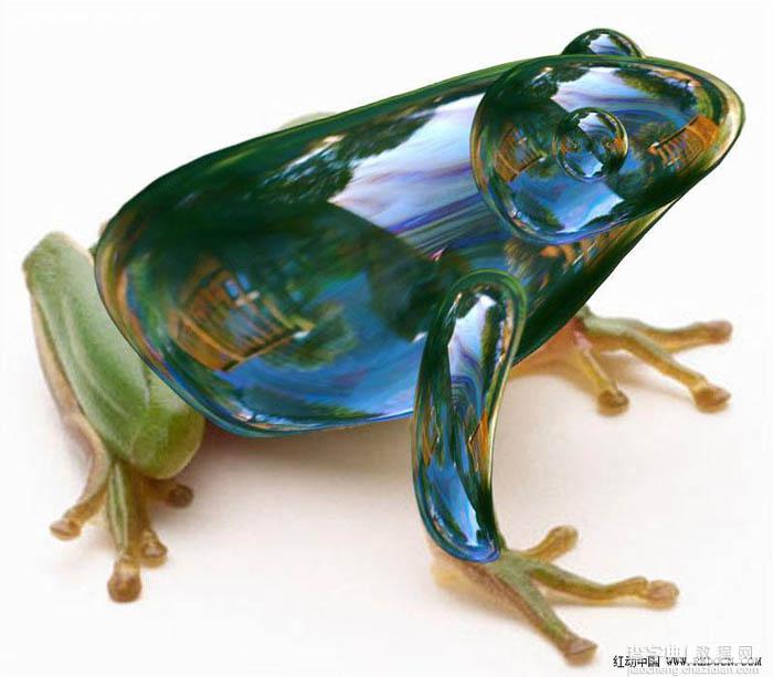 PS合成一只剔透的玻璃青蛙29