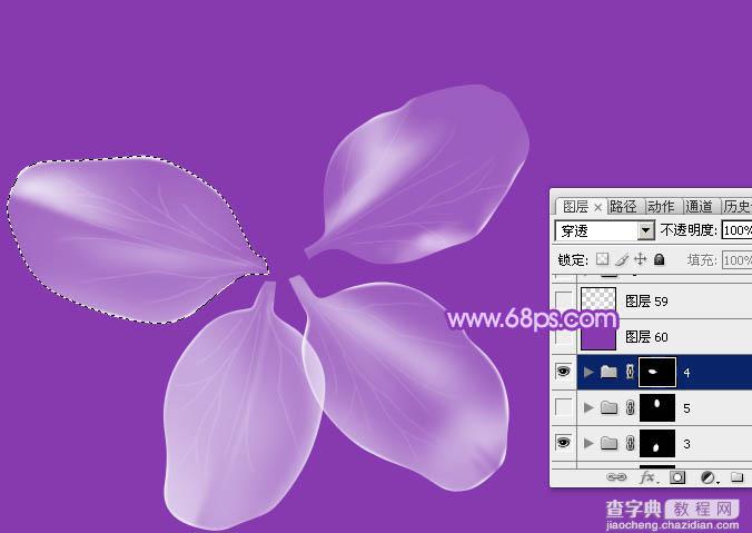 Photoshop设计制作逼真漂亮的白色透明兰花花朵23