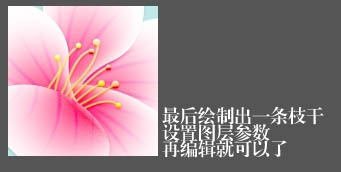 Photoshop设计制作出一朵清新的粉色梅花11