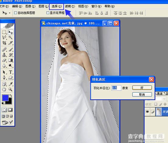 photoshop将背景单一的婚片快速抠图方法4