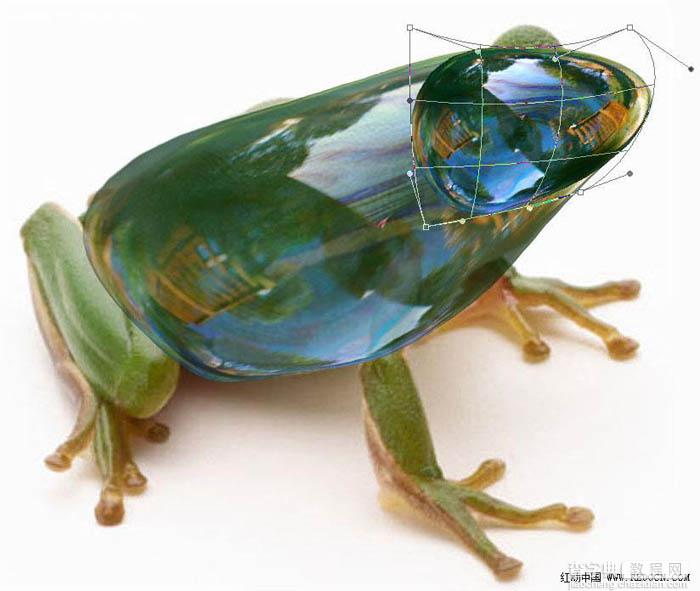 PS合成一只剔透的玻璃青蛙21
