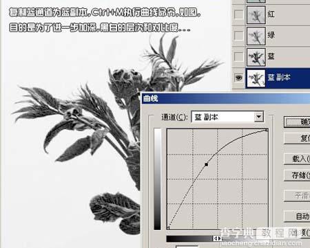 Photoshop通道抠图花卉照片教程4