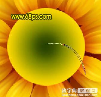 Photoshop打造漂亮的向日葵花朵30