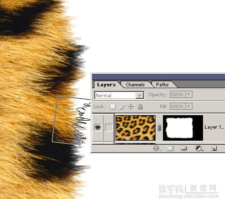 Photoshop制作美洲豹风格文件夹图标14