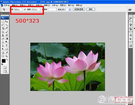 如何使用PS制作邮票 photoshop实例教程2