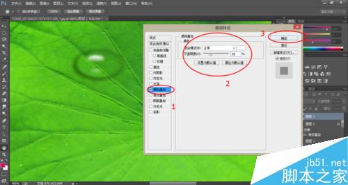 Photoshop制作荷叶上的水滴效果15