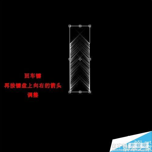 用ps简单制作漂亮的羽毛扇15