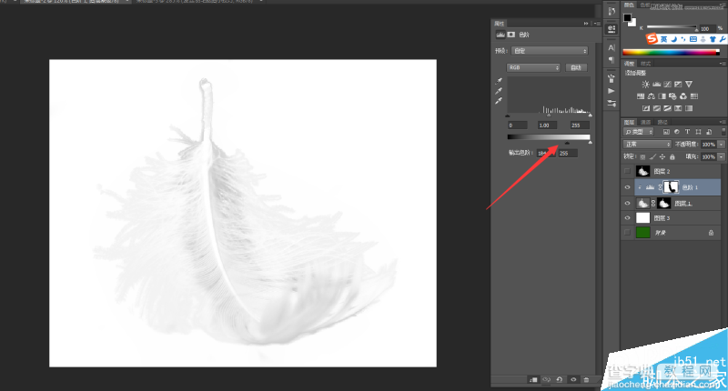 Photoshop巧用色阶快速的抠出很细腻的羽毛8
