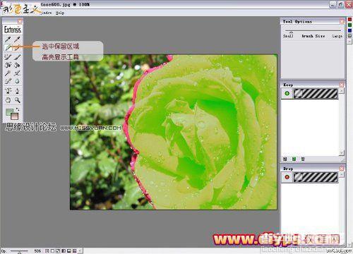 Photoshop抠图教程：插件Mask pro 4.11抠图使用介绍（图文）2