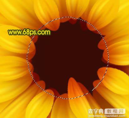 Photoshop打造漂亮的向日葵花朵27