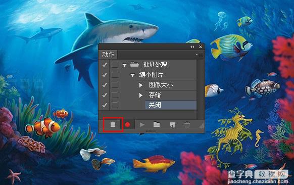 PhotoShop怎么批量处理图片 PS批量处理图片教程介绍6