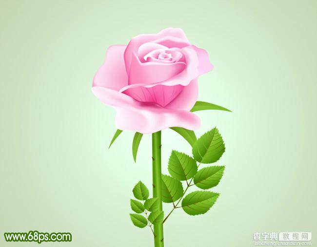 Photoshop打造鲜嫩的粉色玫瑰花1