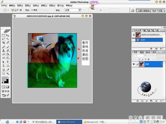 Photoshop抠图教程：抠出毛茸茸的狗狗4
