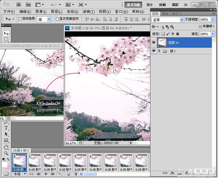 Photoshop教大家快速制作花瓣飘落动画效果11