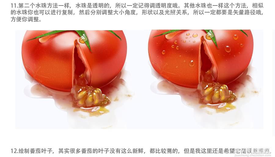 photoshop设计制作出一个裂开的红色番茄效果教程11