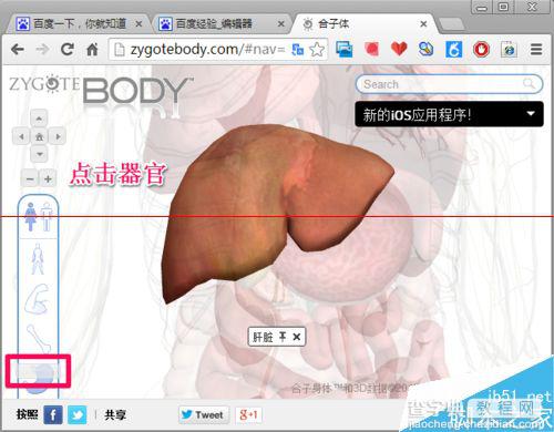 人体浏览器是什么？谷歌人体浏览器的使用方法10