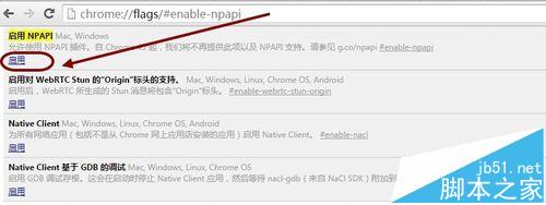 Chrome浏览器打开百度贴吧时提示不支持NPAPI插件该怎么办?5