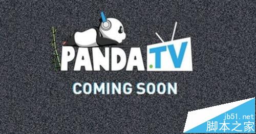 熊猫tv如何搜索房间号? 熊猫tv搜索直播房间号的教程1