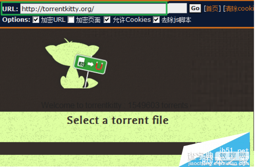torrentkitty打不开了怎么办，怎么下载种子 torrentkitty为什么打不开4