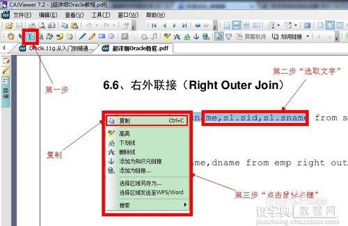PDF中文字如何复制 如何从pdf复制文字3