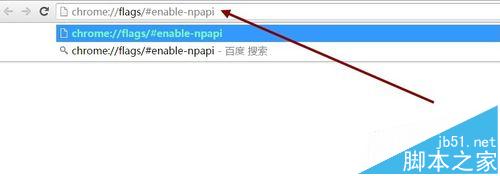 Chrome浏览器打开百度贴吧时提示不支持NPAPI插件该怎么办?4