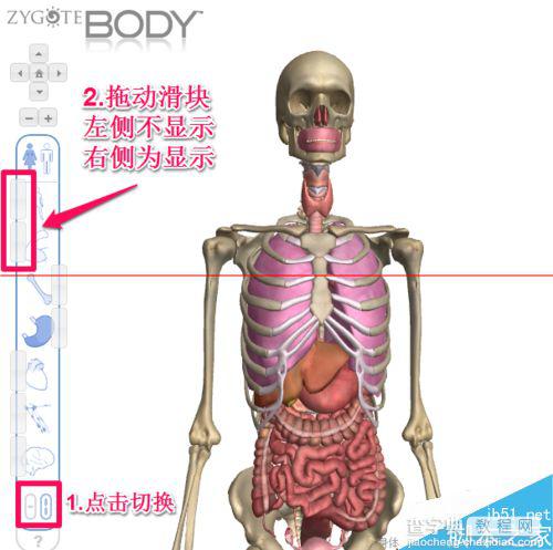 人体浏览器是什么？谷歌人体浏览器的使用方法9